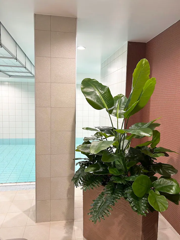 Artificial plant arrangement in a planter at the Elektrėnai pool