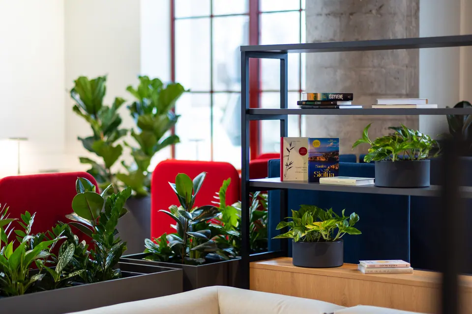 Live plants in a bright office