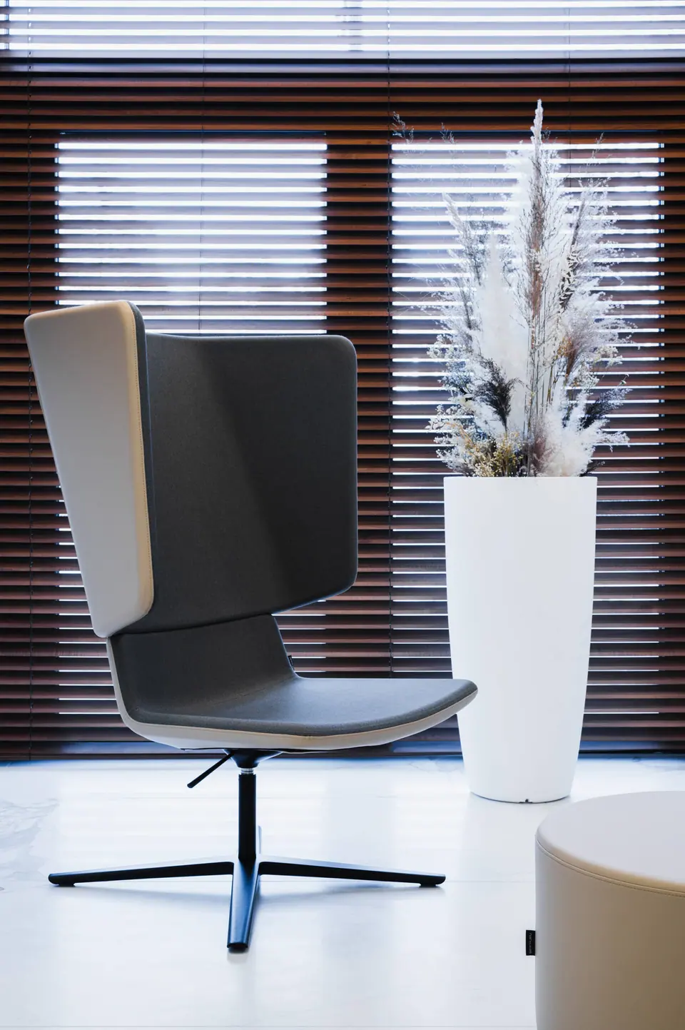 Preserved plant arrangement in a clinic waiting area