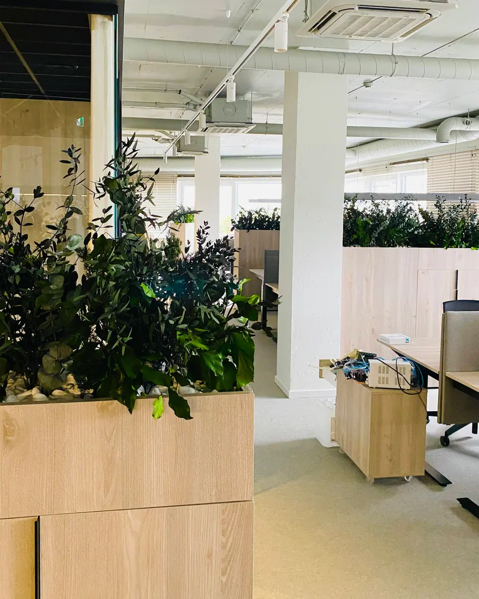 Preserved plant troughs in an office