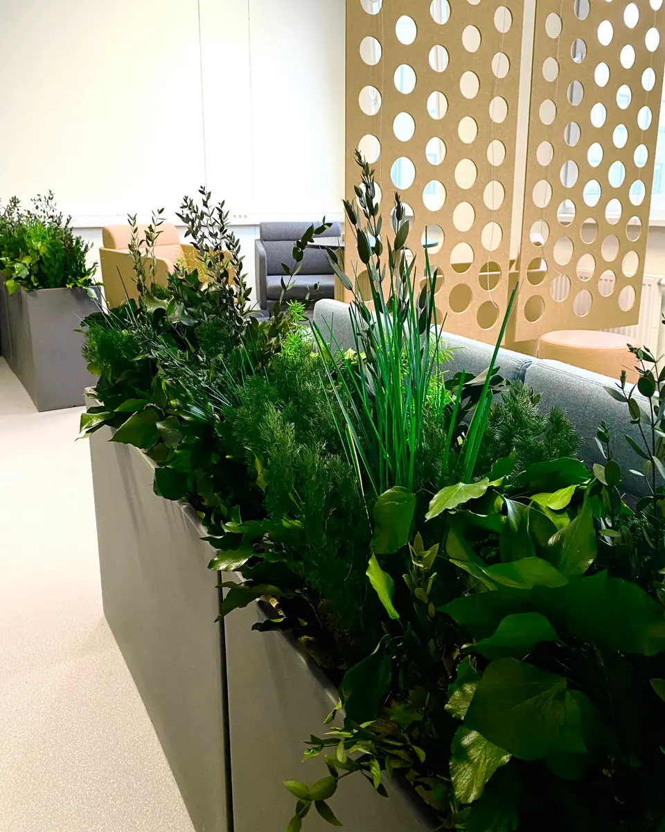 Preserved plant trough beside workstations