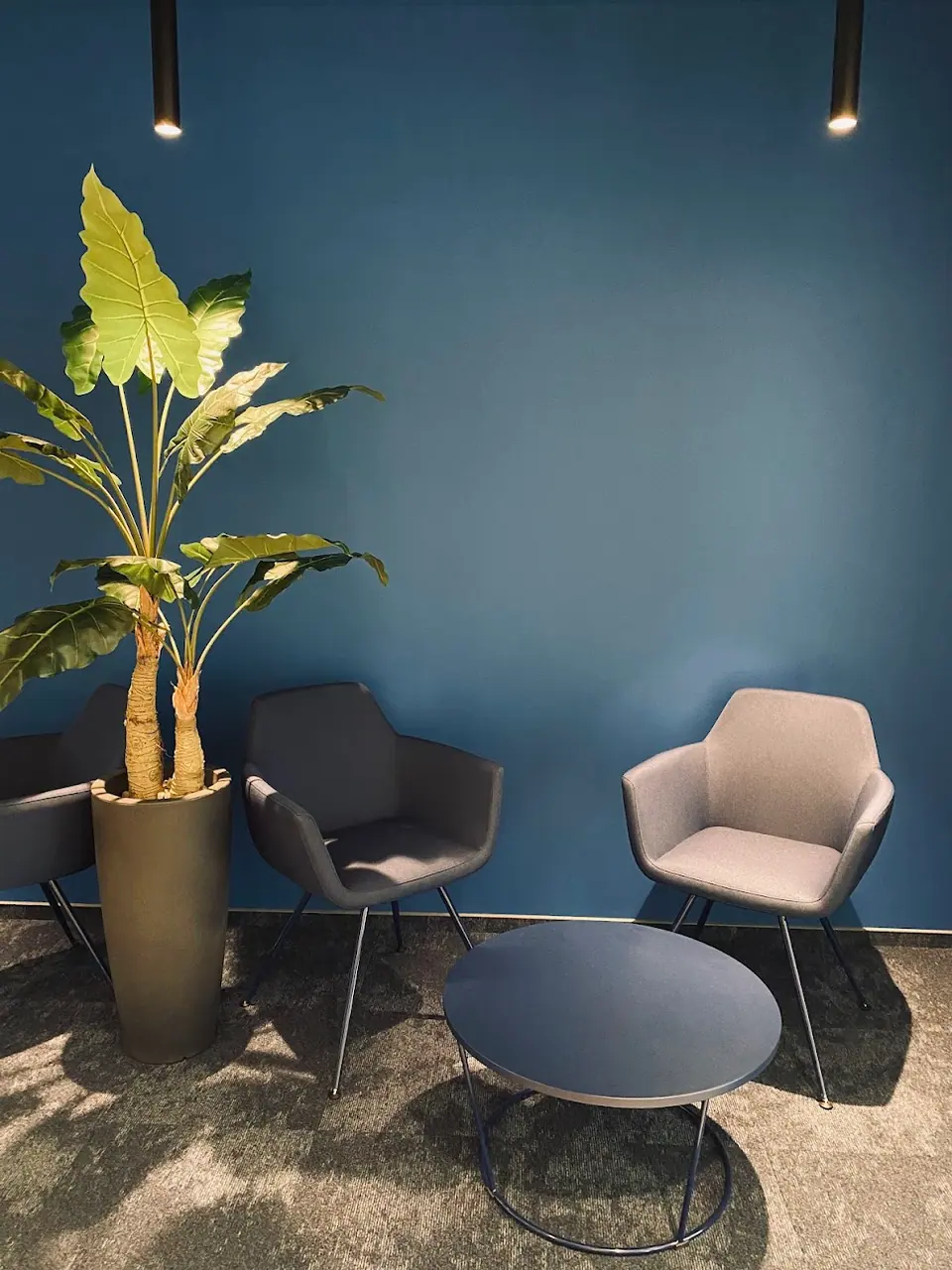 Artificial tree in a meeting area