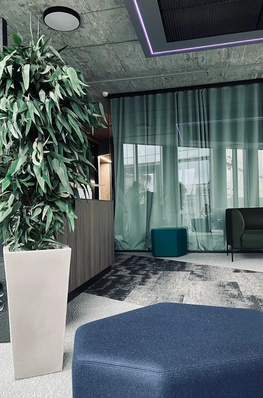 Preserved Pendula eucalyptus tree in an interior