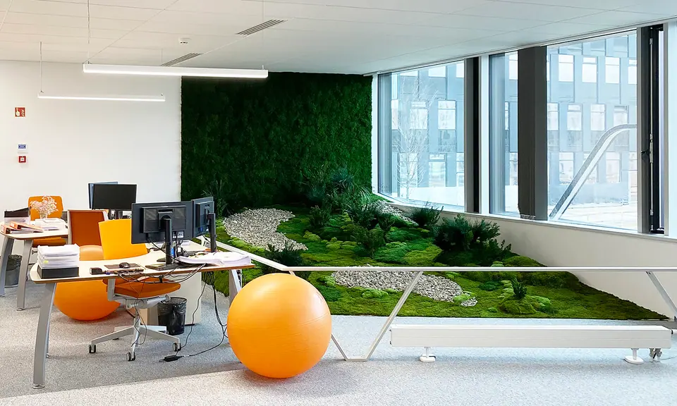 Preserved plant wall with ferns