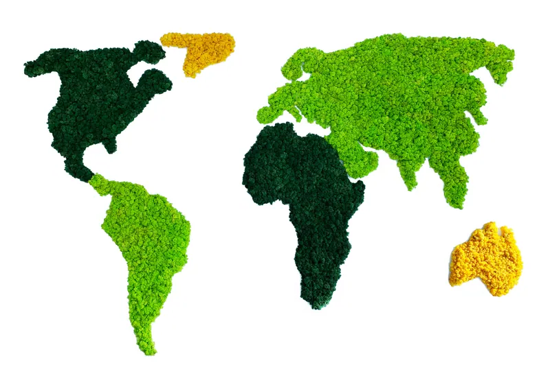 COLOUR WORLD – samanų paveikslai