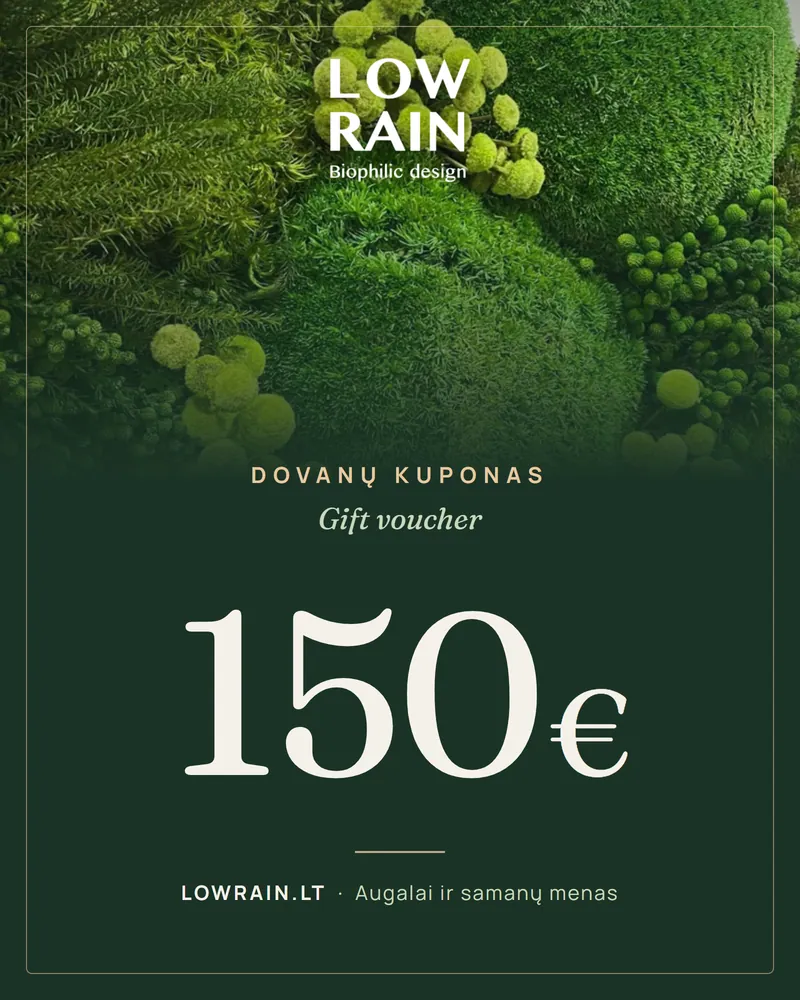 LOWRAIN dovanų kuponas 150 €