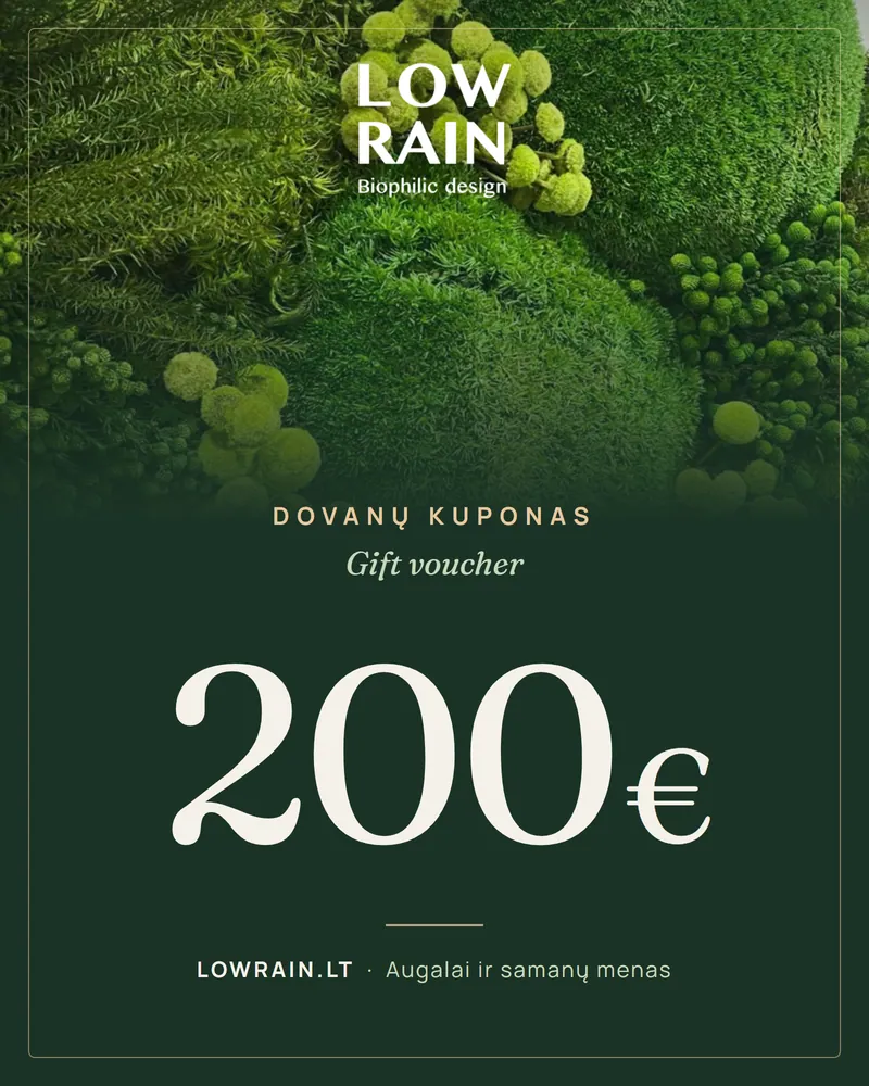 LOWRAIN dovanų kuponas 200 €