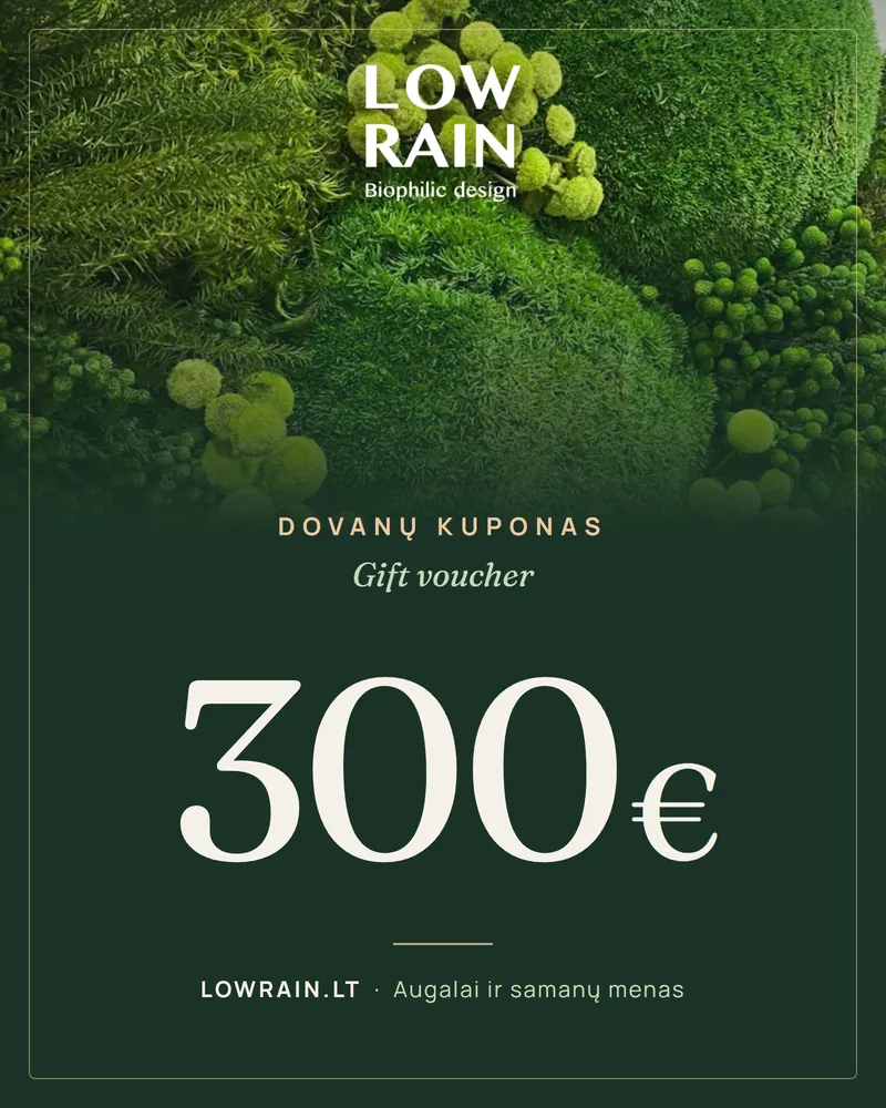 LOWRAIN dovanų kuponas 300 €