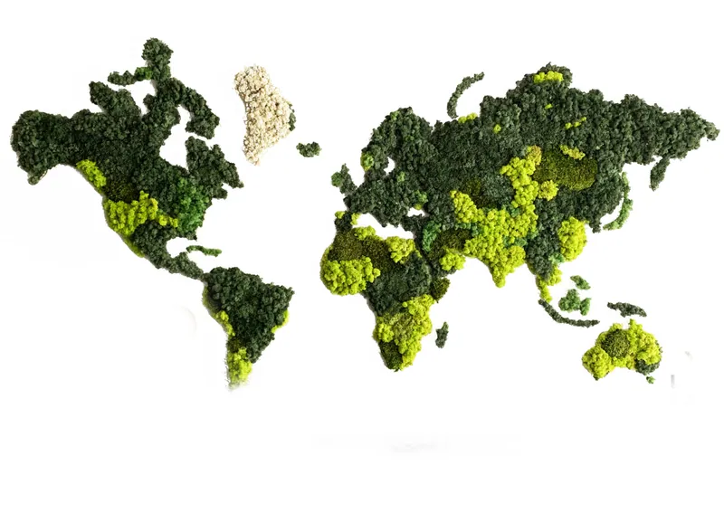 NATURAL WORLD – samanų paveikslai