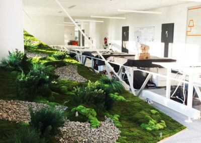 Interior landscaping installation integrated into dynamic space of open office